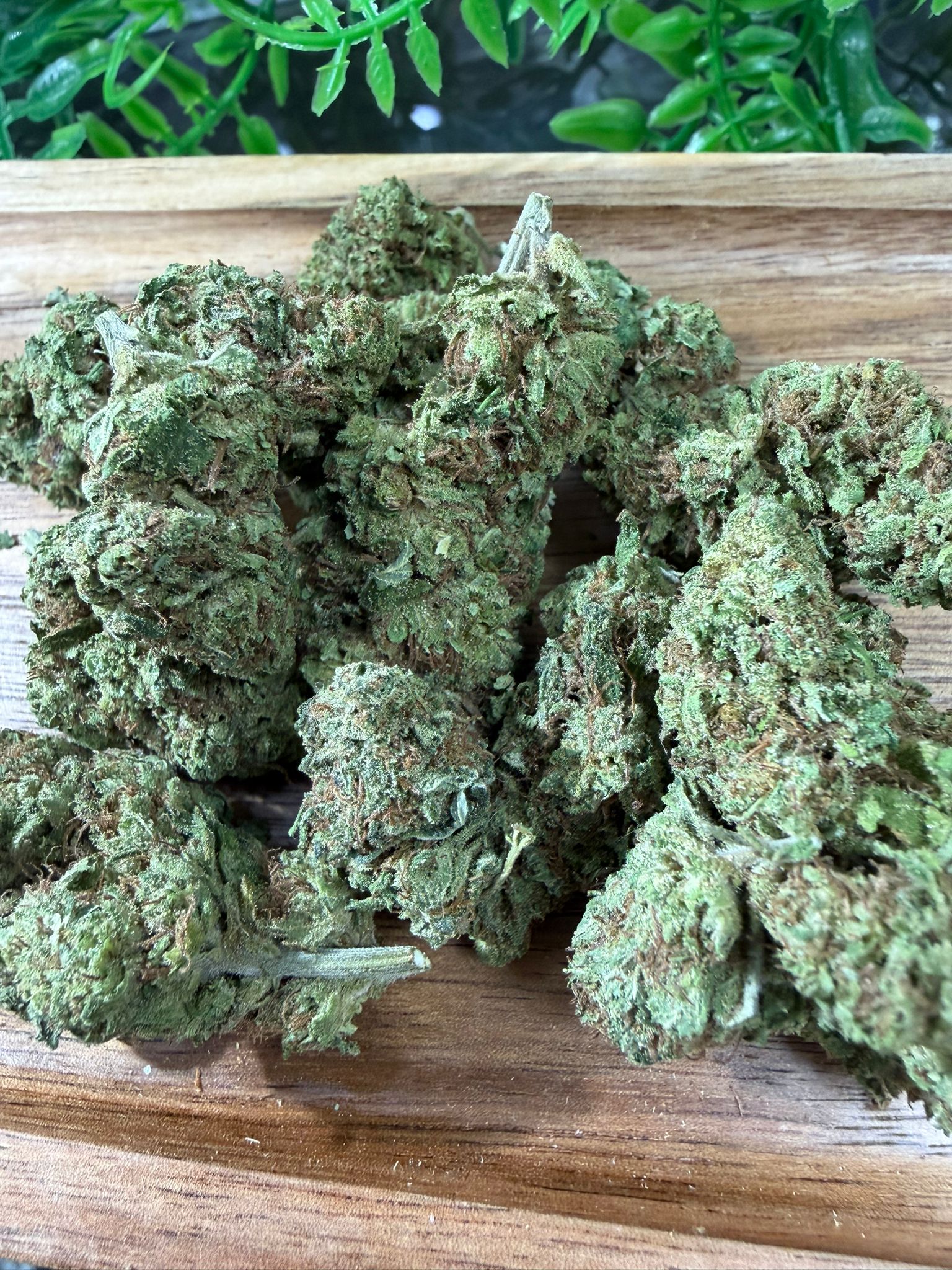 Critical CBD